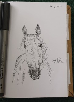 Ali radwani drawing sketch challenge 1hour1sketch horse pen pencil 
