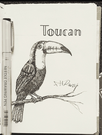 ali radwani sketch sketchbook bird